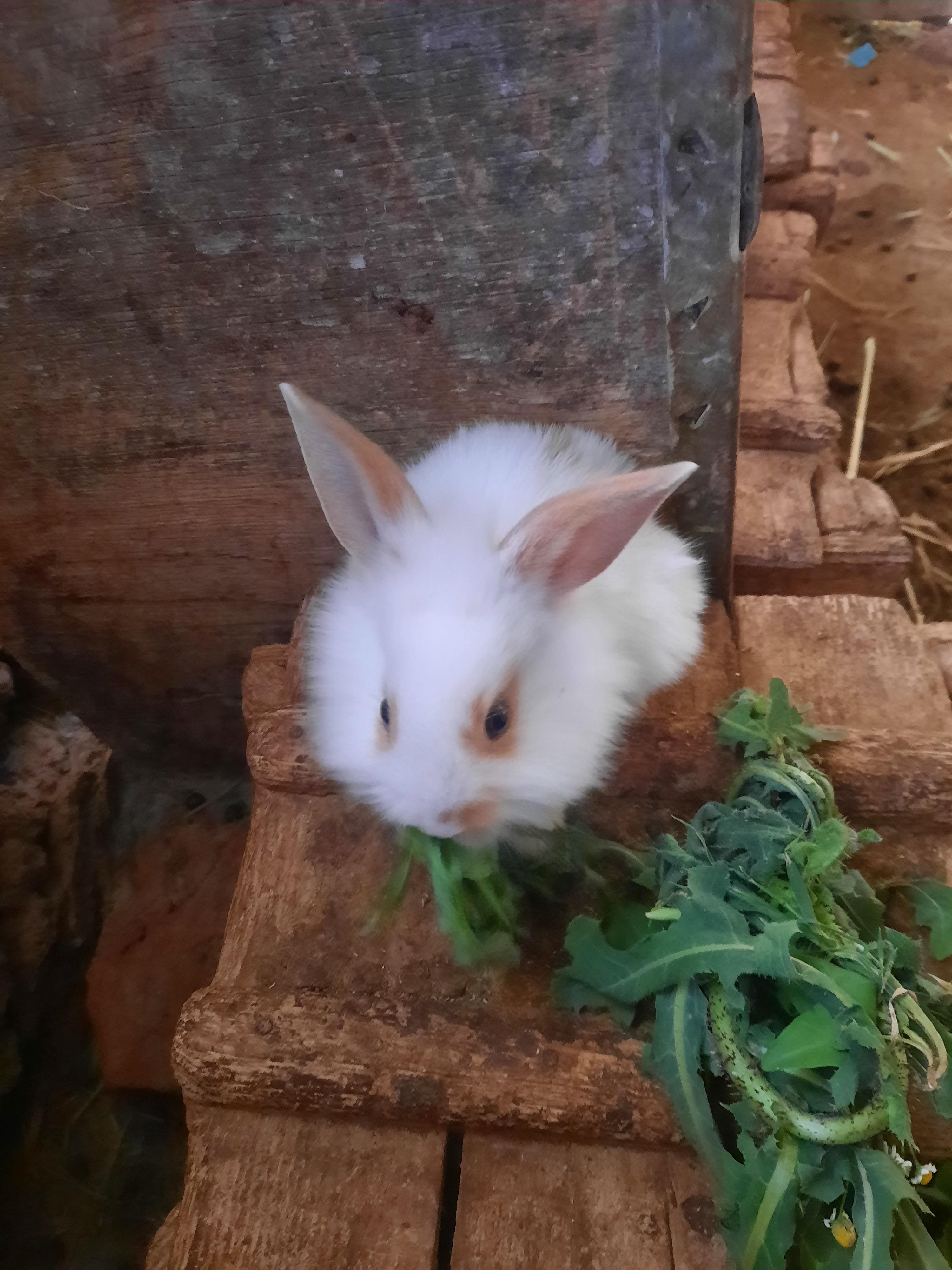Profil